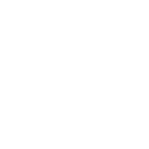 sbt3